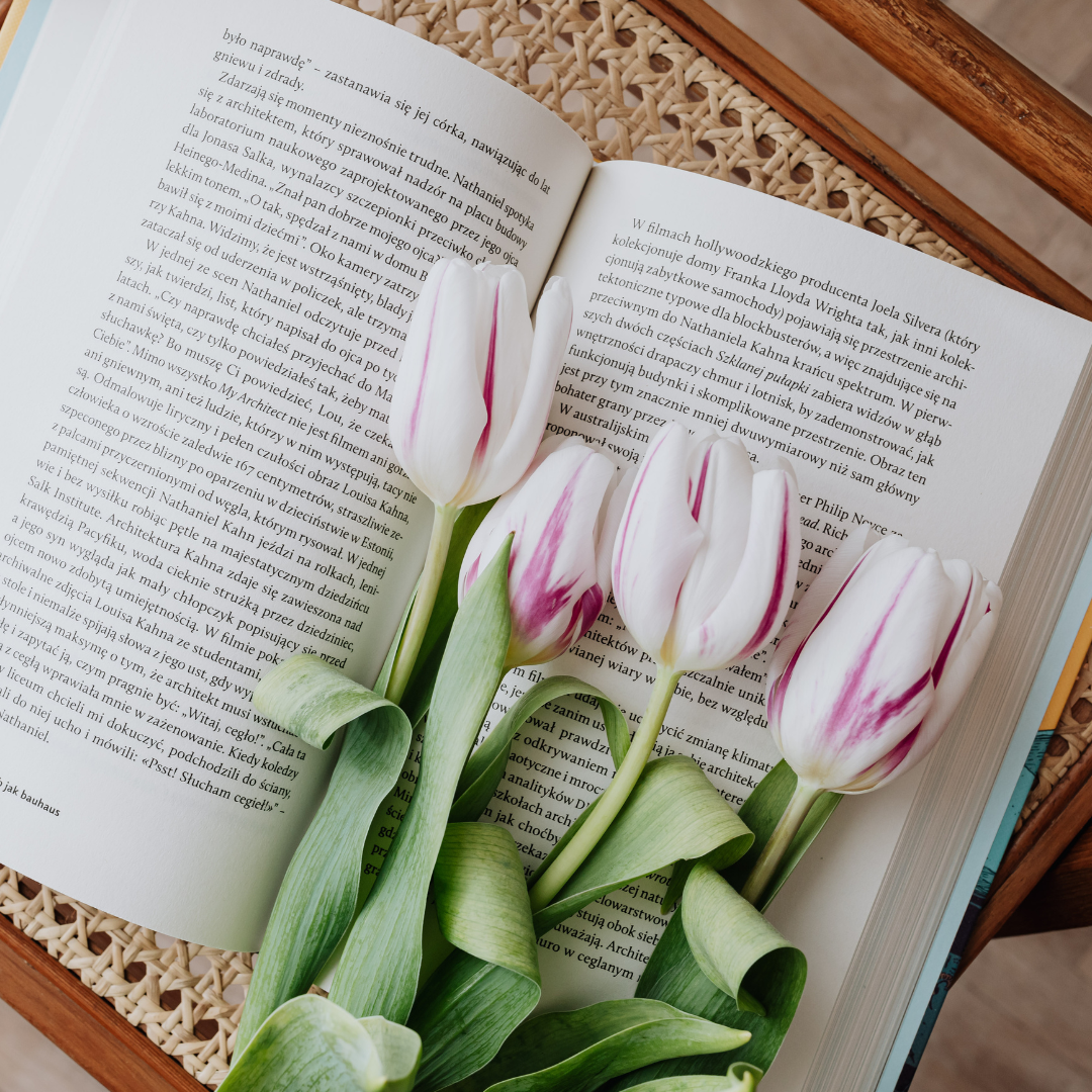 Diseño sin título (63)