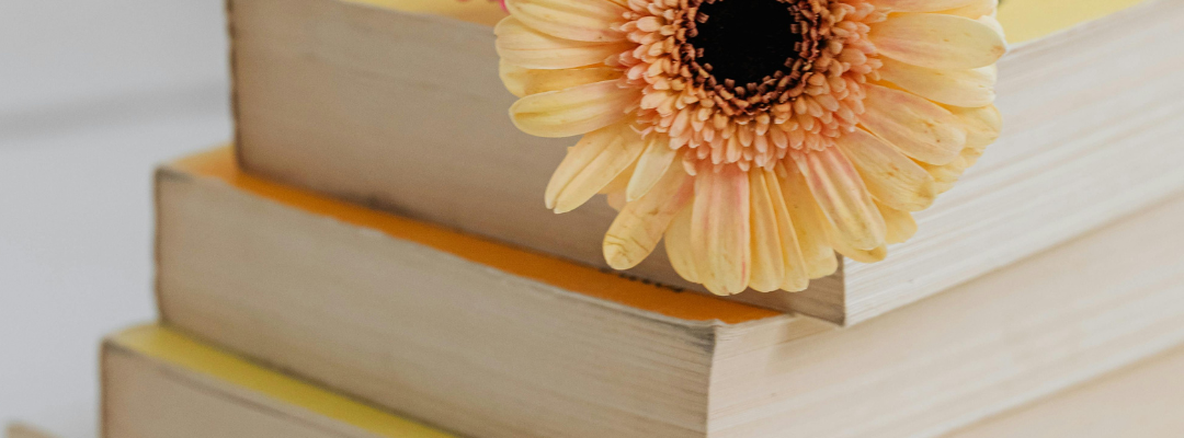 Diseño sin título (71)