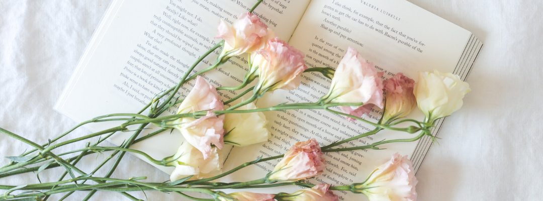 Diseño sin título (72)